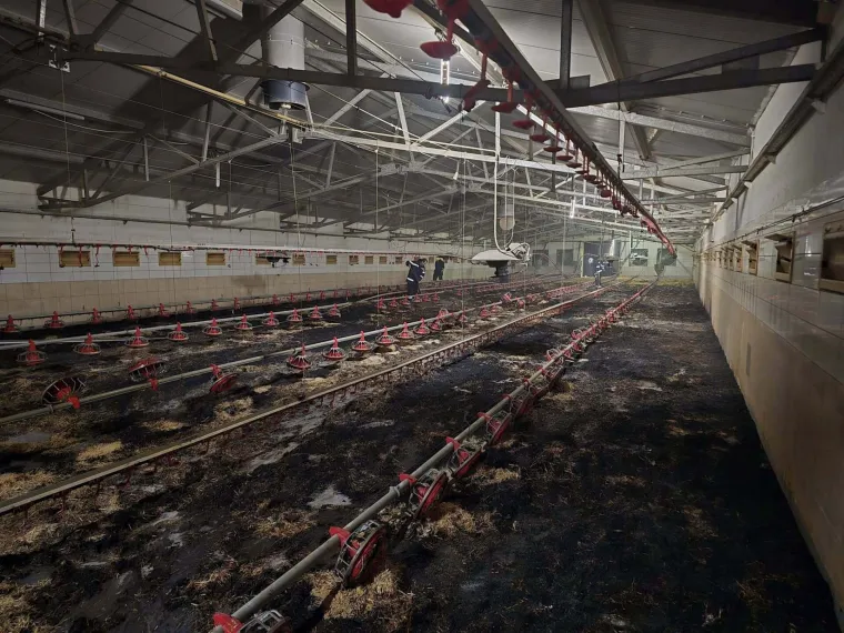 Alarm zazvonio u 00.16! Vatrogasci napustili fe&scaron;tu i spasili stvar: 'Opasnost je bila velika'