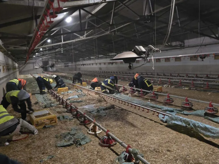 Alarm zazvonio u 00.16! Vatrogasci napustili fe&scaron;tu i spasili stvar: 'Opasnost je bila velika'