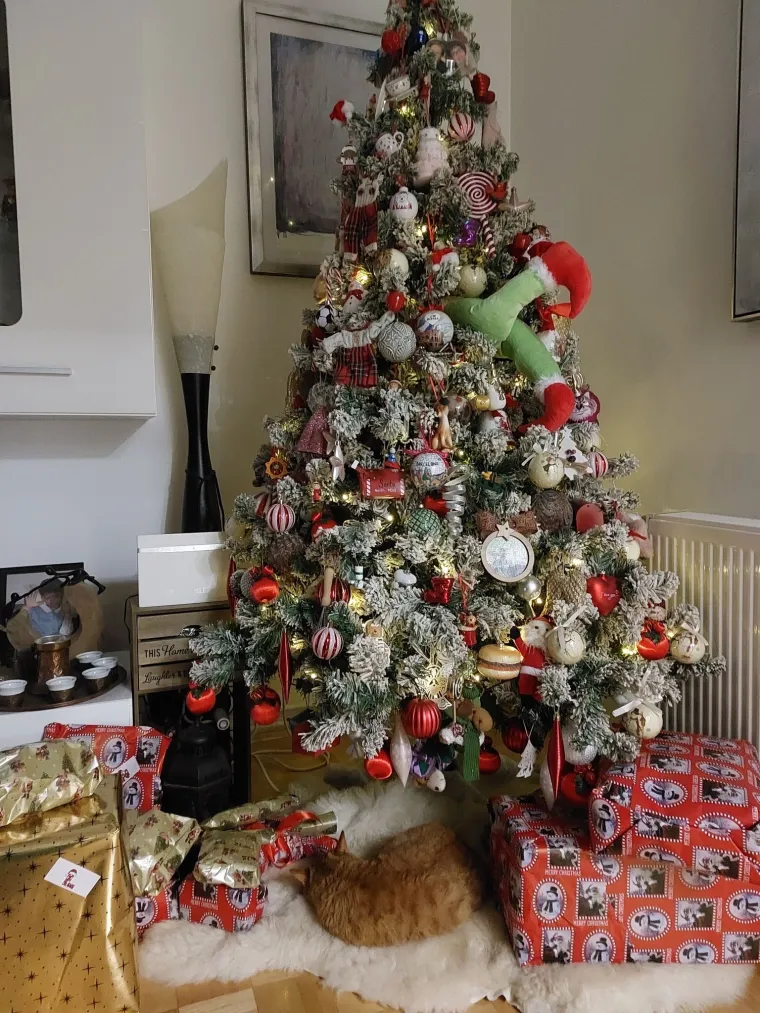 Stvarnost se prikrada, ali blagdanski ukrasi su jo&scaron; uvijek tu: 'Ovo drvce je savr&scaron;eno sretno'