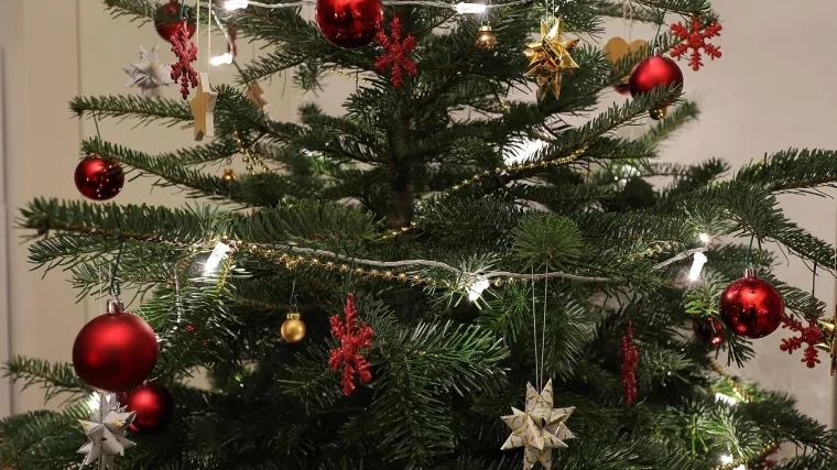 Stvarnost se prikrada, ali blagdanski ukrasi su jo&scaron; uvijek tu: 'Ovo drvce je savr&scaron;eno sretno'