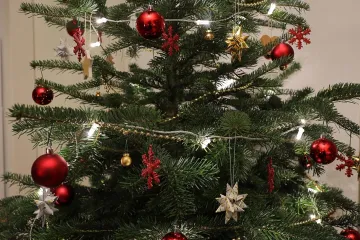 Stvarnost se prikrada, ali blagdanski ukrasi su jo&scaron; uvijek tu: 'Ovo drvce je savr&scaron;eno sretno'