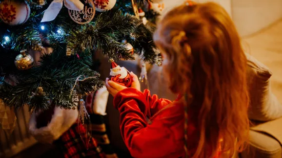 Među ovim se drvcima skriva jedno od dobitnika nagrade: 'Dječje ruke su najbolji dizajneri'