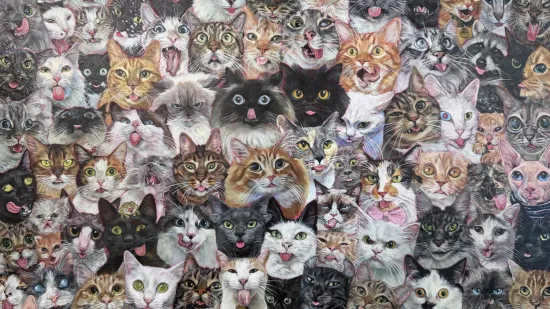 Možete li među hrpom mačaka pronaći dva uljeza? Dobro promotrite fotku, nije nimalo lako