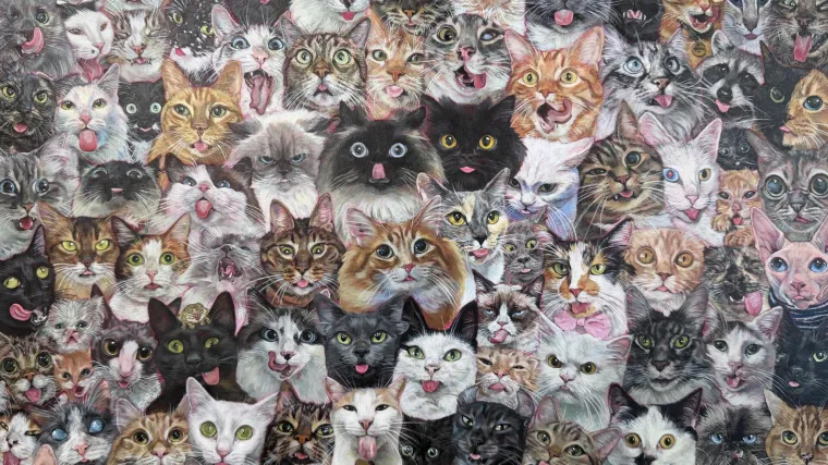 Možete li među hrpom mačaka pronaći dva uljeza? Dobro promotrite fotku, nije nimalo lako