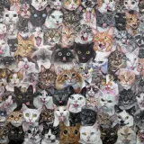 Možete li među hrpom mačaka pronaći dva uljeza? Dobro promotrite fotku, nije nimalo lako