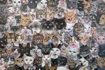 Možete li među hrpom mačaka pronaći dva uljeza? Dobro promotrite fotku, nije nimalo lako