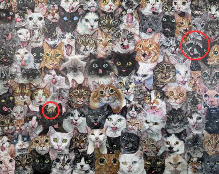 Možete li među hrpom mačaka pronaći dva uljeza? Dobro promotrite fotku, nije nimalo lako