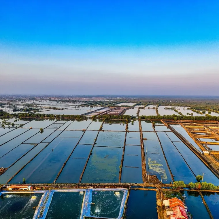 Razvitak i modernizacija ruralnih područja u Republici Hrvatskoj na&scaron;a je gospodarska strategija