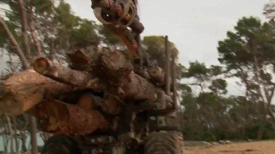 U sanaciji Marjana možda će morati ukloniti i vi&scaron;e od 4000 stabala: Oluja nije jedini problem