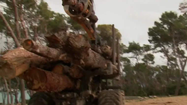 U sanaciji Marjana možda će morati ukloniti i vi&scaron;e od 4000 stabala: Oluja nije jedini problem