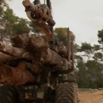 U sanaciji Marjana možda će morati ukloniti i vi&scaron;e od 4000 stabala: Oluja nije jedini problem