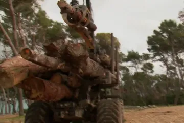 U sanaciji Marjana možda će morati ukloniti i vi&scaron;e od 4000 stabala: Oluja nije jedini problem