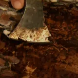 Marjan ima veliki problem: 'Ta buba se namnožila i njoj je sada divno i lijepo'