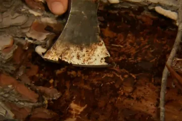 Marjan ima veliki problem: 'Ta buba se namnožila i njoj je sada divno i lijepo'