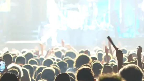 Znate li tko sve ove godine stiže u Hrvatsku? Lenny Kravitz, Sting, Nick Cave, Moby...