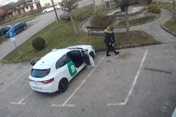 Psići se ugu&scaron;ili i smrznuli, policija traga za ženama koje su ih bacile: Prijeti im ova kazna