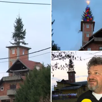 Božićna jelka ove obitelji visoka je devet metara: Podigli dva kata kuće da bi bor bio &scaron;to vi&scaron;e