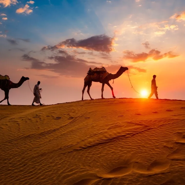 [KVIZ] Znate li sve o pustinjama i njihovim stanovnicima?