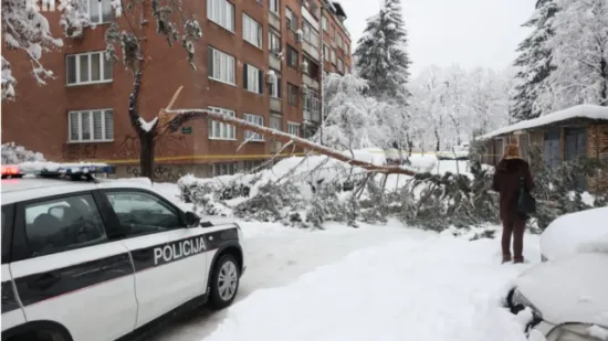 Snježni kaos u Sarajevu odnio život: Bor visok 10 metara sru&scaron;io se na ženu, nije joj bilo spasa