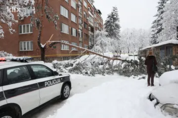 Snježni kaos u Sarajevu odnio život: Bor visok 10 metara sru&scaron;io se na ženu, nije joj bilo spasa