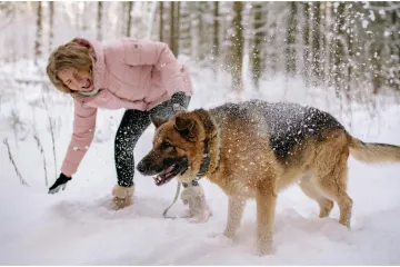 Stručnjakinja otkriva kako znati da je psu prehladno: 'Pripazite na ključne znakove'
