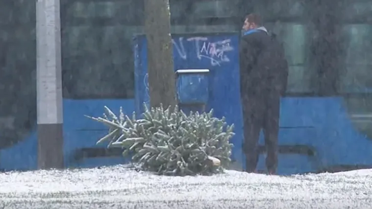 Pitali smo vas kada planirate raskititi bor, ovo su va&scaron;i odgovori