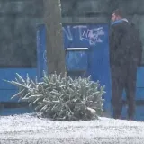 Pitali smo vas kada planirate raskititi bor, ovo su va&scaron;i odgovori