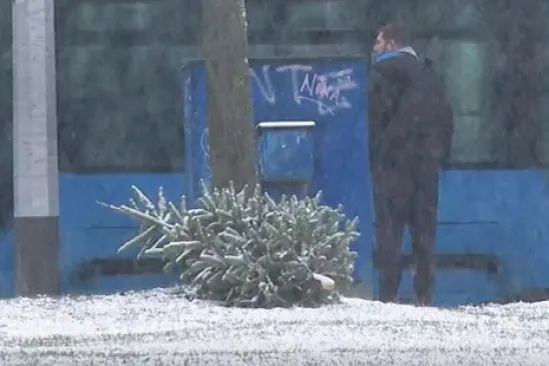 Pitali smo vas kada planirate raskititi bor, ovo su va&scaron;i odgovori