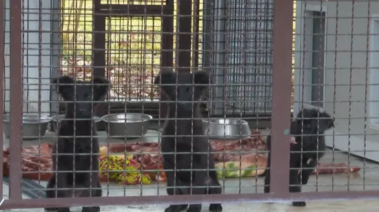 Svoju stranu priče podijelile žene koje su prona&scaron;le &scaron;tence