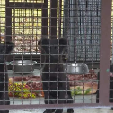 Svoju stranu priče podijelile žene koje su prona&scaron;le &scaron;tence