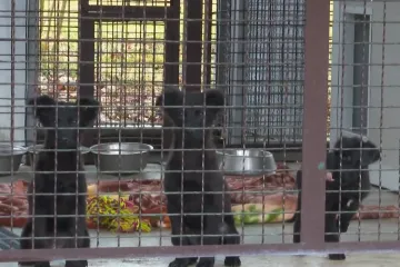 Svoju stranu priče podijelile žene koje su prona&scaron;le &scaron;tence