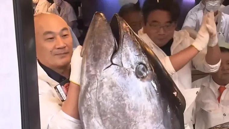 Novi rekord 'kralja tune' u Japanu: Ribu od 243 kg kupio za vi&scaron;e od tri milijuna dolara