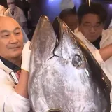 Novi rekord 'kralja tune' u Japanu: Ribu od 243 kg kupio za vi&scaron;e od tri milijuna dolara