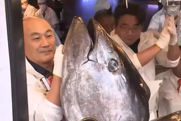 Novi rekord 'kralja tune' u Japanu: Ribu od 243 kg kupio za vi&scaron;e od tri milijuna dolara