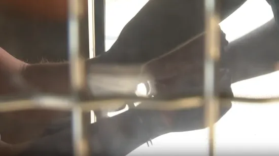 &Scaron;okantan slučaj iz okolice Bjelovara: Otac osuđen zbog iskori&scaron;tavanja maloljetnog sina