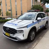 Mu&scaron;karac preminuo nakon &scaron;to je policija iskoristila papreni sprej: 'To je nesmrtonosno oružje'