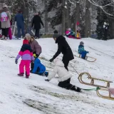Kakva zimska čarolija: Osječani uživali na snijegu, a ovi prizori dugo će se pamtiti