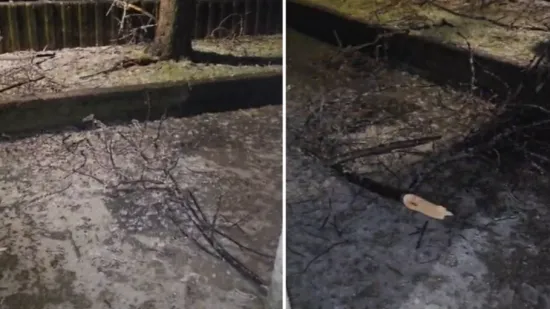 DHMZ podigao stupanj upozorenja! Zagreb pun snijega, u Kninu iznimno opasna pojava lomi stabla