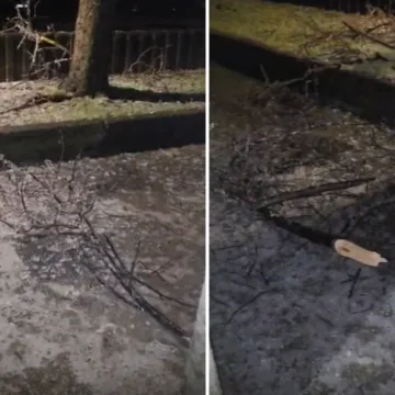 DHMZ podigao stupanj upozorenja! Zagreb pun snijega, u Kninu iznimno opasna pojava lomi stabla