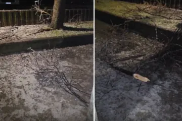 DHMZ podigao stupanj upozorenja! Zagreb pun snijega, u Kninu iznimno opasna pojava lomi stabla