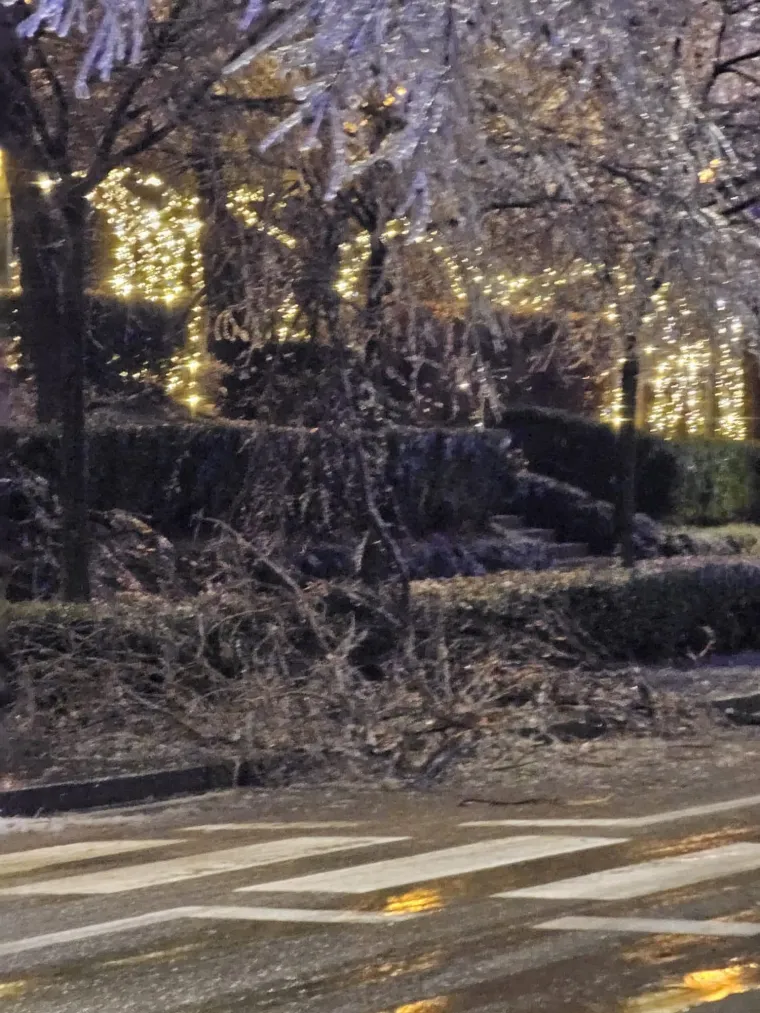 DHMZ digao stupanj upozorenja! U Kninu opasna pojava lomi stabla, uru&scaron;io se &scaron;ator u Križevcima