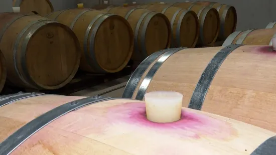 Turisti bježe, a mi dižemo cijene: Istražili smo za&scaron;to dalmatinska vina ko&scaron;taju bogatstvo u restoranima