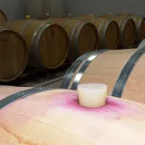 Turisti bježe, a mi dižemo cijene: Istražili smo za&scaron;to dalmatinska vina ko&scaron;taju bogatstvo u restoranima