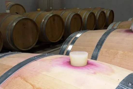 Turisti bježe, a mi dižemo cijene: Istražili smo za&scaron;to dalmatinska vina ko&scaron;taju bogatstvo u restoranima