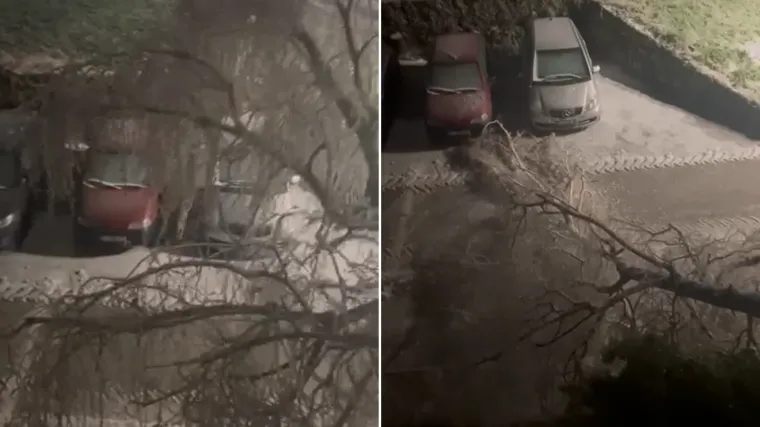 Dramatična snimka iz Knina: Pogledajte &scaron;to ledena ki&scaron;a radi stablu, puklo je kao &scaron;ibica