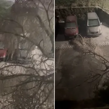 Dramatična snimka iz Knina: Pogledajte &scaron;to ledena ki&scaron;a radi stablu, puklo je kao &scaron;ibica