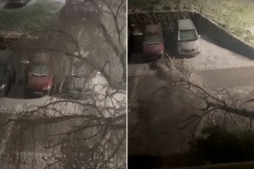 Dramatična snimka iz Knina: Pogledajte &scaron;to ledena ki&scaron;a radi stablu, puklo je kao &scaron;ibica