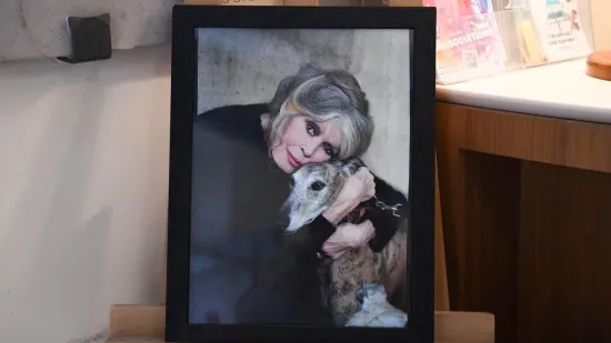 Otkriveni detalji sprovoda francuske legende: Željela je biti pokopana u svom vrtu, ali...