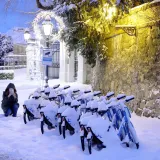 Pogledajte kaos u Zagrebu: Zatrpani auti, bicikli, a snijeg je čistio i &scaron;ef Dolca