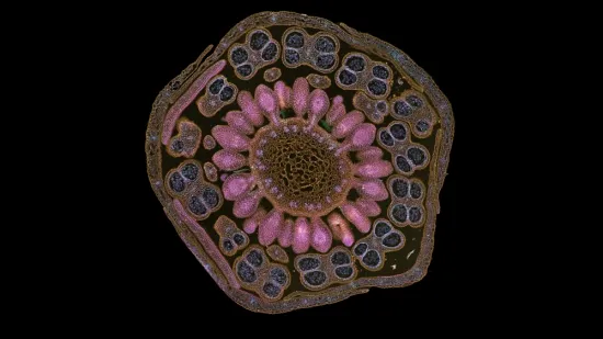 [KVIZ] Jesi li genijalac koji zna sve o stanicama?